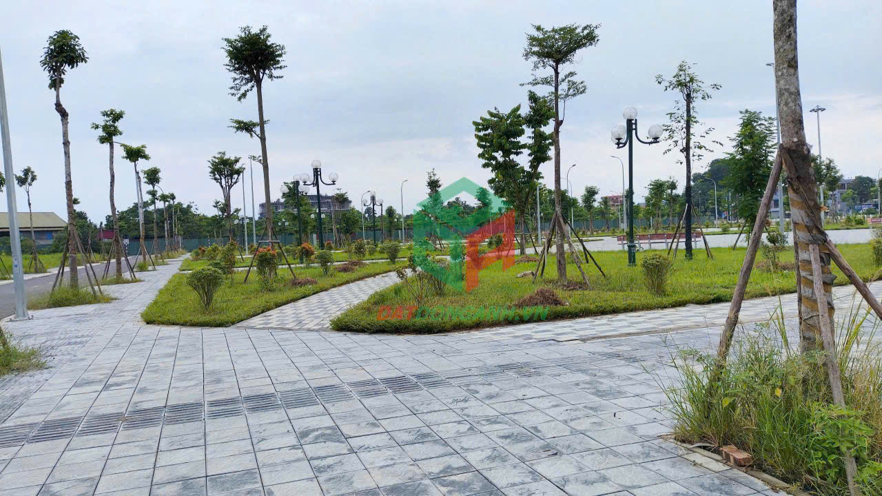 ✅ Bán đất đấu giá X1 Nguyên Khê - 80m - View công viên - Đường rộng 20m - Ảnh chính